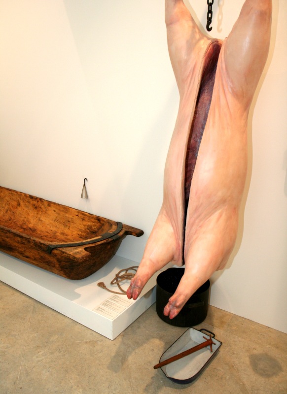 maketa prasete v expozici výstavy Krmě jídlo žrádlo