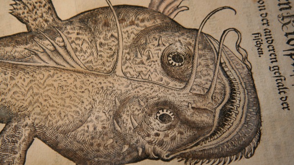 ilustrace z knihy Historieae animalium