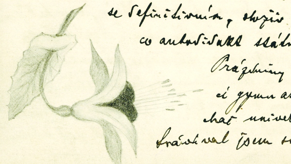 Detail jediné známé kresby šumavského spisovatele Karla Klostermanna (z dopisu z 5. ledna 1891 – archiv Aloise Chvály)
