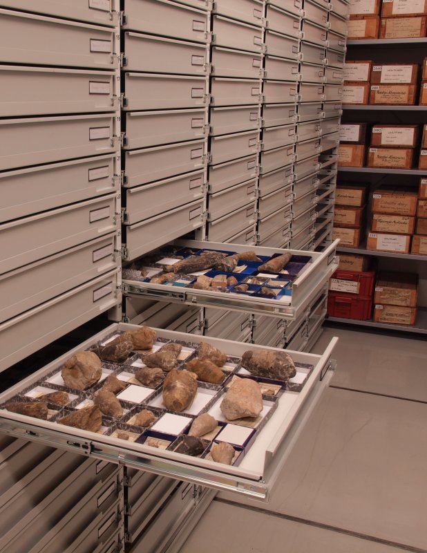 Současné uložení paleontologických sbírek v depozitářích přírodovědeckého muzea