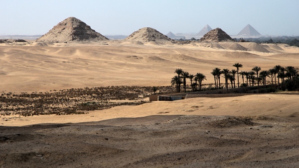Pyramidové pole v Abúsíru s pyramidami v Gíze v pozadí (foto Petra Havelková)