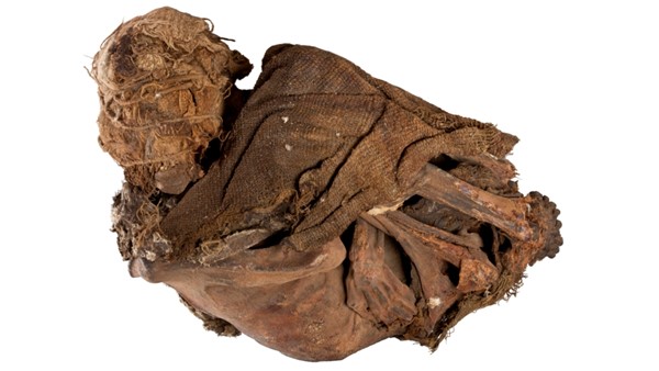 Mumie "Rybáře" ze severního Chile (zdroj: Národní muzeum)