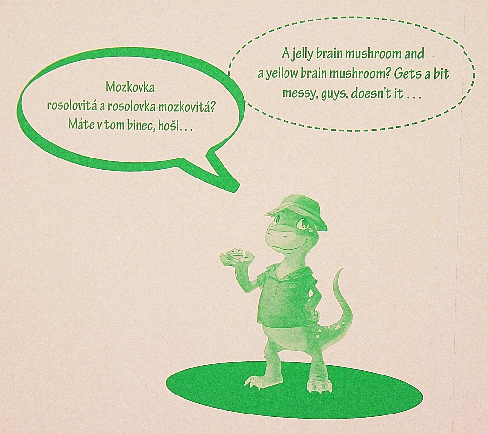 Fotografie. Komiksová postavička z výstavy Jak se bude jmenovat. Zdroj : Národní muzeum