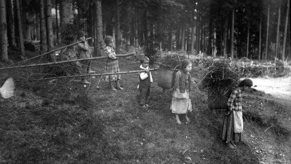 Děti sbírají v lese dříví bosé, okolí Koutu na Šumavě, západní Čechy, začátek 20. století, Národní muzeum, Historické muzeum, Etnografické oddělení, Fotografický archiv, i. č. EA11280, foto: Strouhal, začátek 20. století.