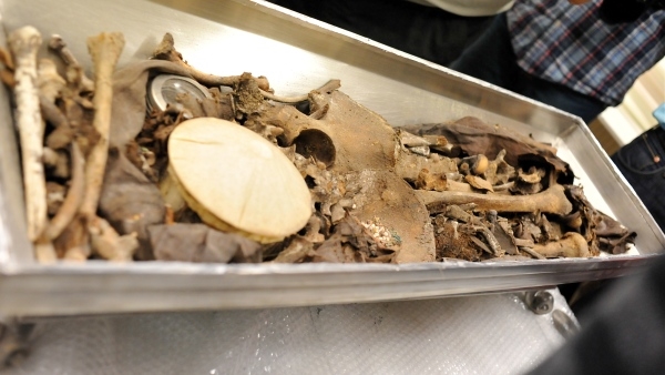 The view of the box after opening.Additionally to the skeletal remains it contained also two glass vessels (photography:National Museum archive)