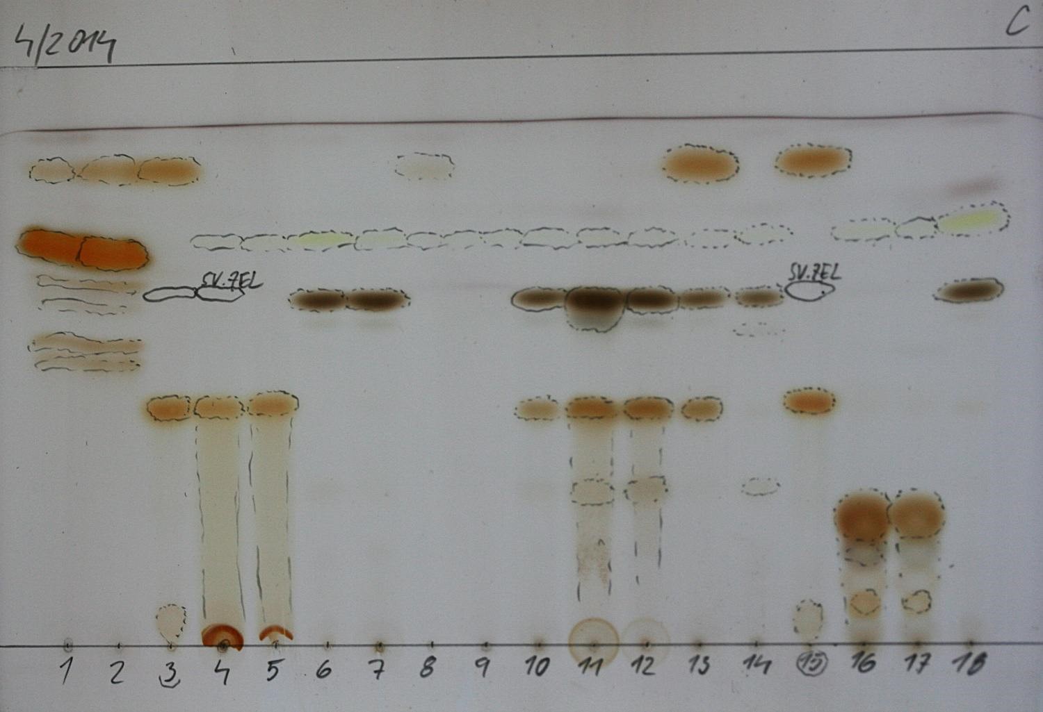 TLC deska – ukázka rozložení sekundárních metabolitů podle velikosti molekul na chromatografické desce (zdroj: Národní muzeum) TLC deska – ukázka rozložení sekundárních metabolitů podle velikosti molekul na chromatografické desce (zdroj: Národní muzeum)