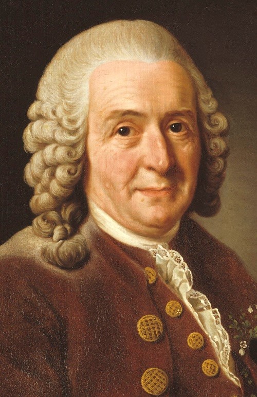 Fotografie. Carl von Linné, portrét z roku 1775, Autor: Alexandr Roslin