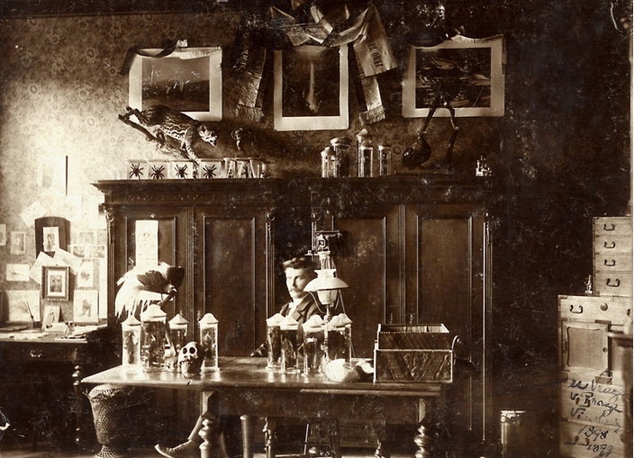 E. St. Vráz ve své pracovně v bytě na Vinohradech, kde pobýval v letech 1898–1899 a kde se setkal s mladým J. Hlouchou. Zdroj: Národní muzeum