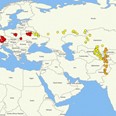 Migrační trasy sledovaných samců hýla rudého - samec z Vltavského luhu