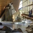 Zoologická expozice „Archa Noemova“ uvádí návštěvníka Národního muzea do fascinujícího světa živočichů, kteří obývají nebo obývali naši planetu.