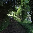 Arboretum Kroužkovací stanice Národního muzea. Zdroj: Národní muzeum