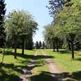 Arboretum Kroužkovací stanice Národního muzea. Zdroj: Národní muzeum